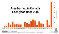 Canada wildfire by year